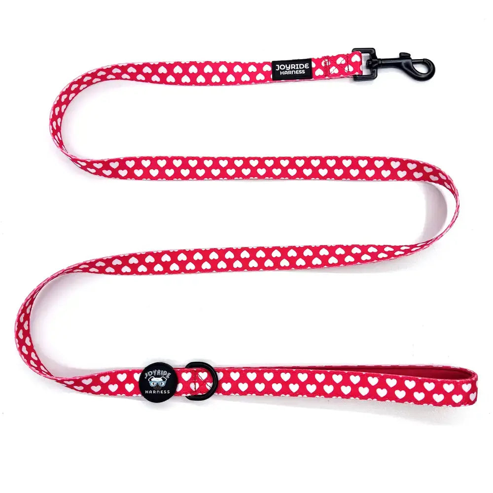 Red Hearts Matching Dog Leash