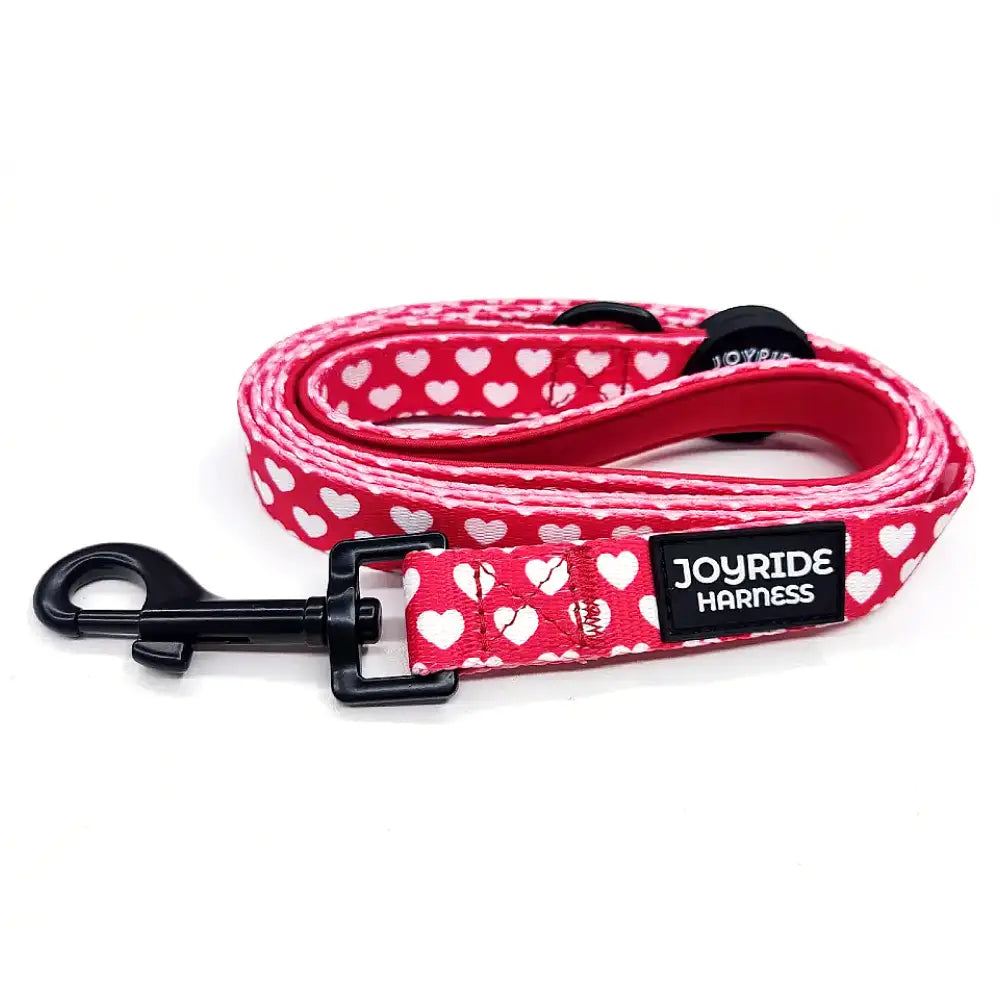 Red Hearts Matching Dog Leash