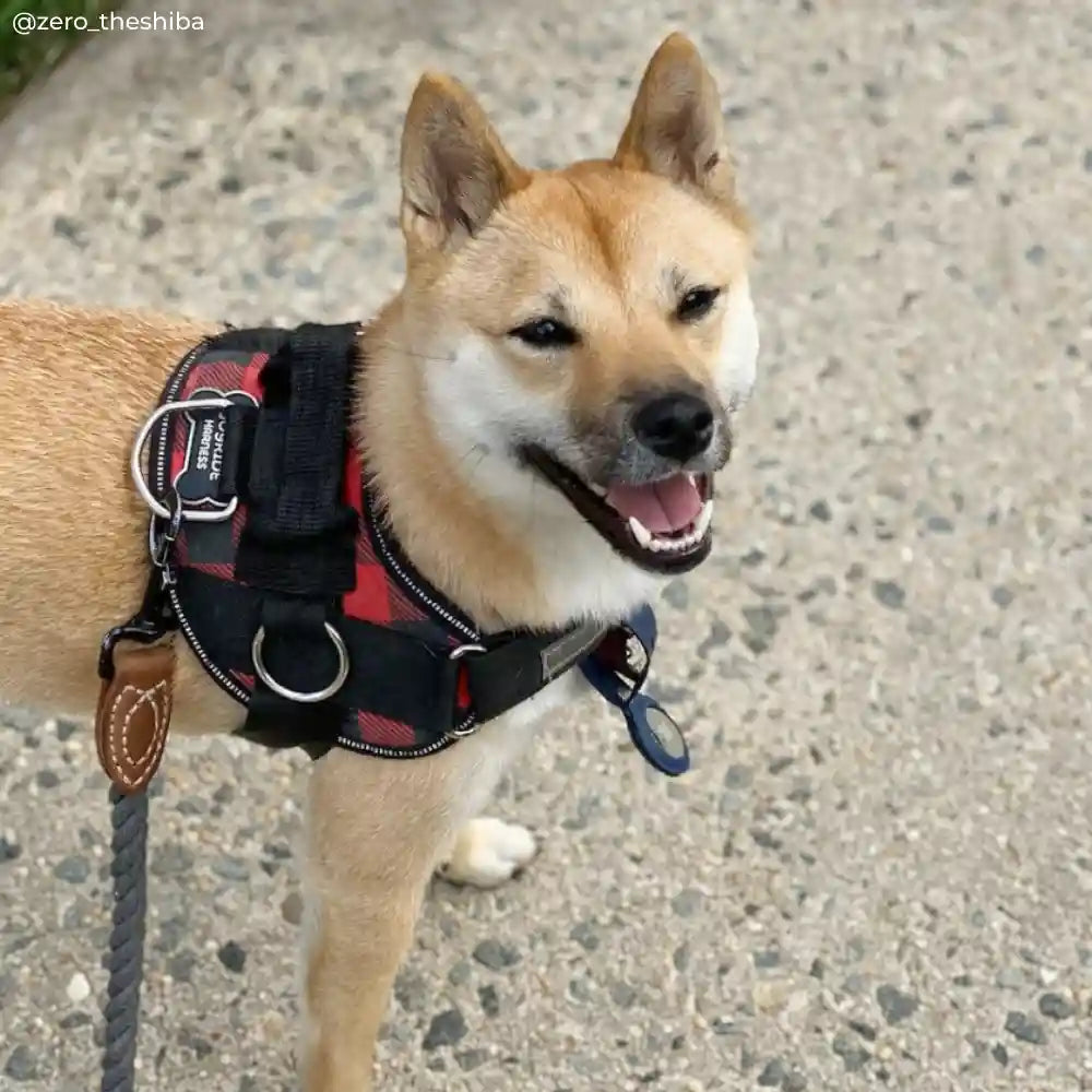 Red Plaid Joyride Basic Essential Dog Harness 1.0