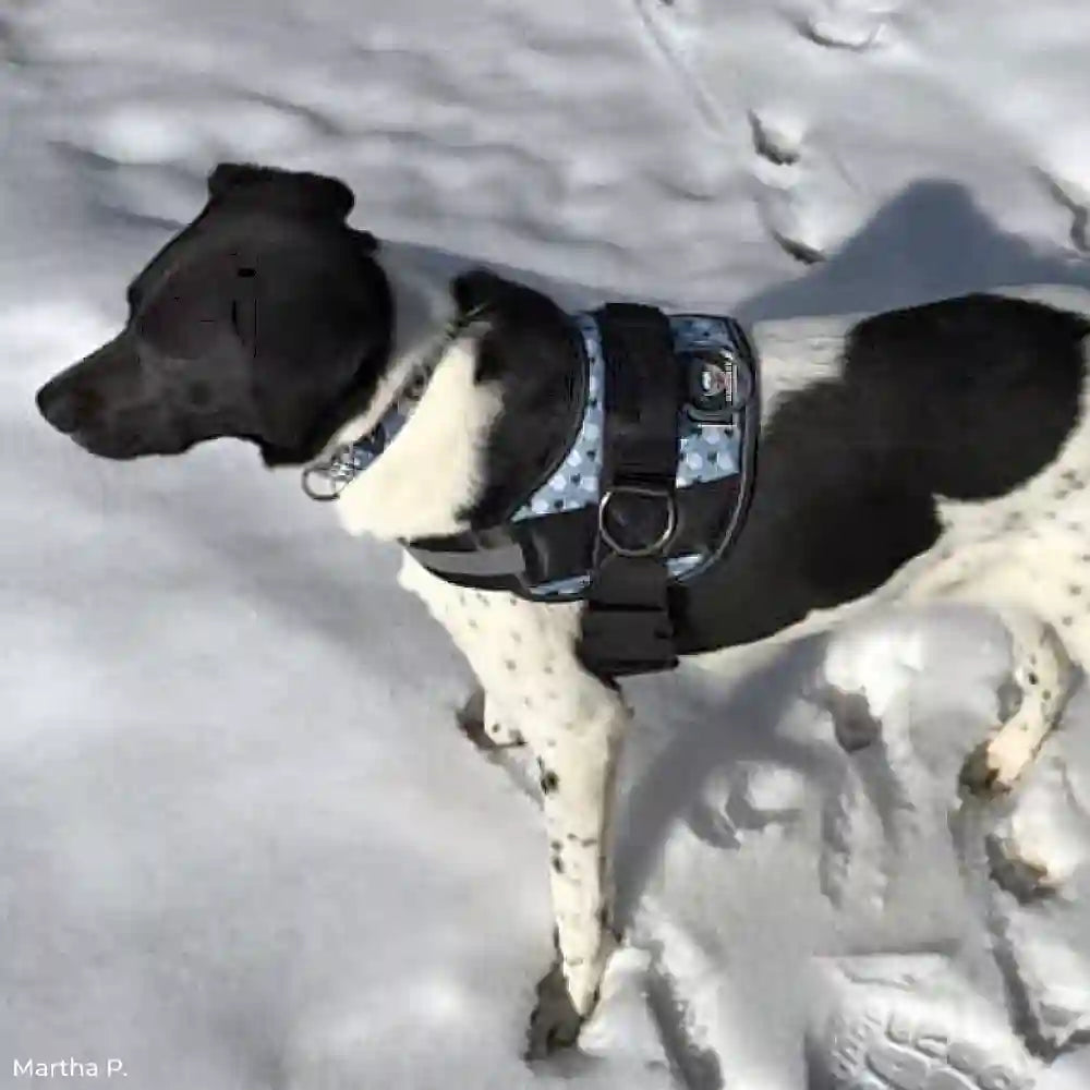 Winter Snowman Joyride Basic Essential Dog Harness 1.0