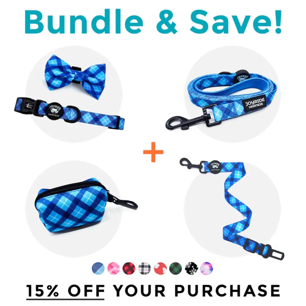 Matching Collar ( + free removable bowtie ) | 15% Off