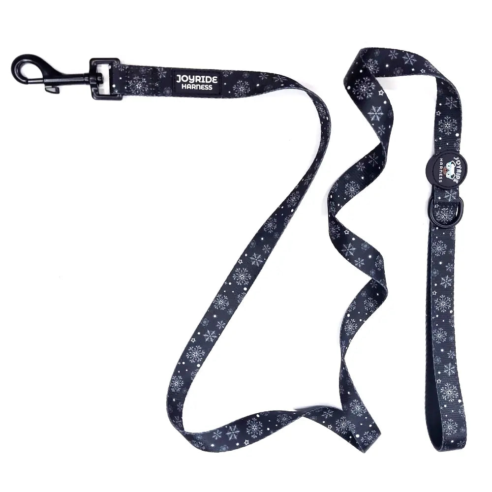 Winter Snowflake Matching Dog Leash