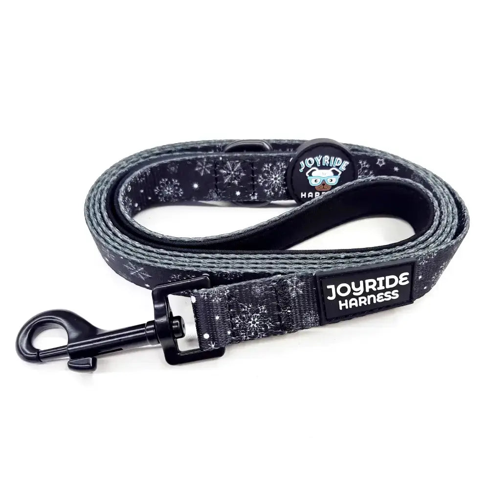 Winter Snowflake Matching Dog Leash