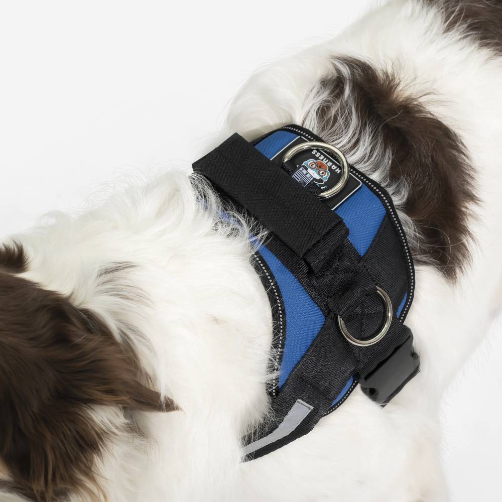 Joyride LUXE Dog Harness 1.0
