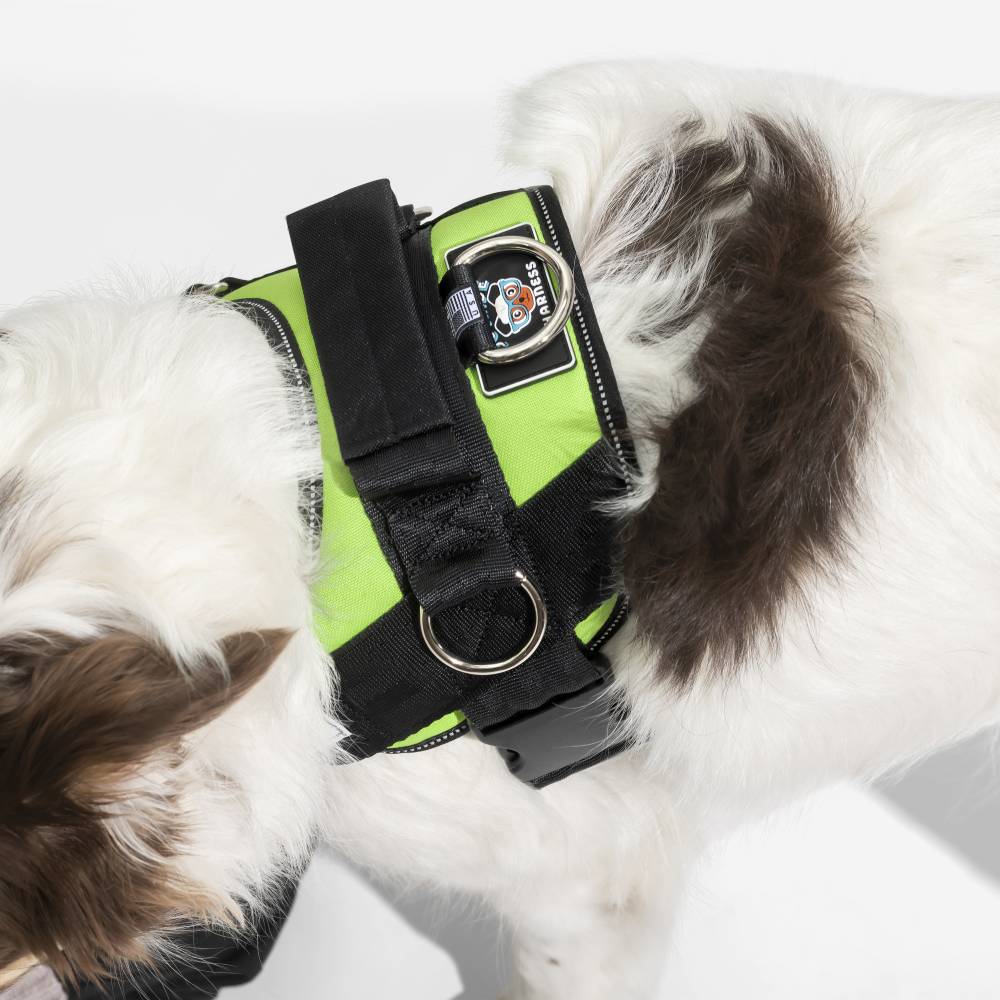 Joyride LUXE Dog Harness 1.0