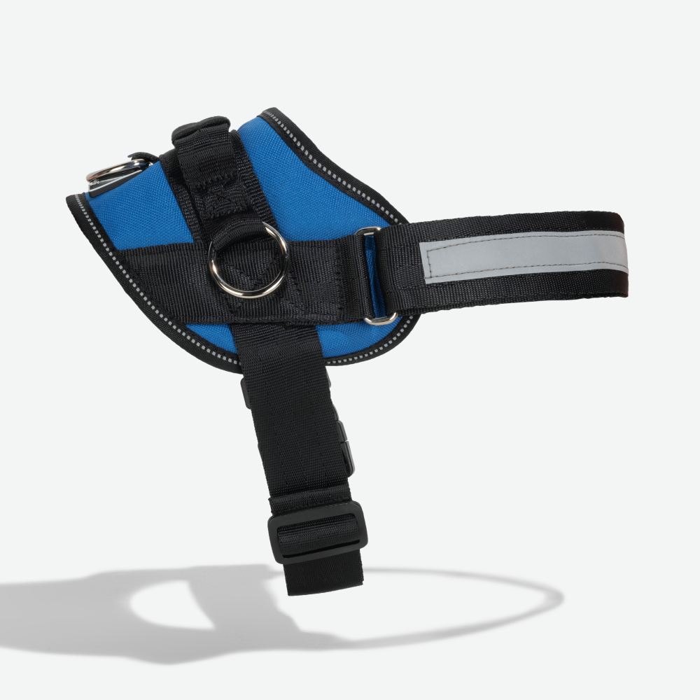 Joyride LUXE Dog Harness 1.0