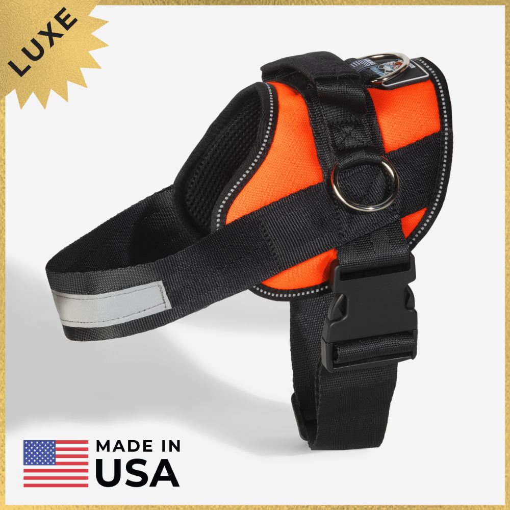 Joyride LUXE Dog Harness 1.0