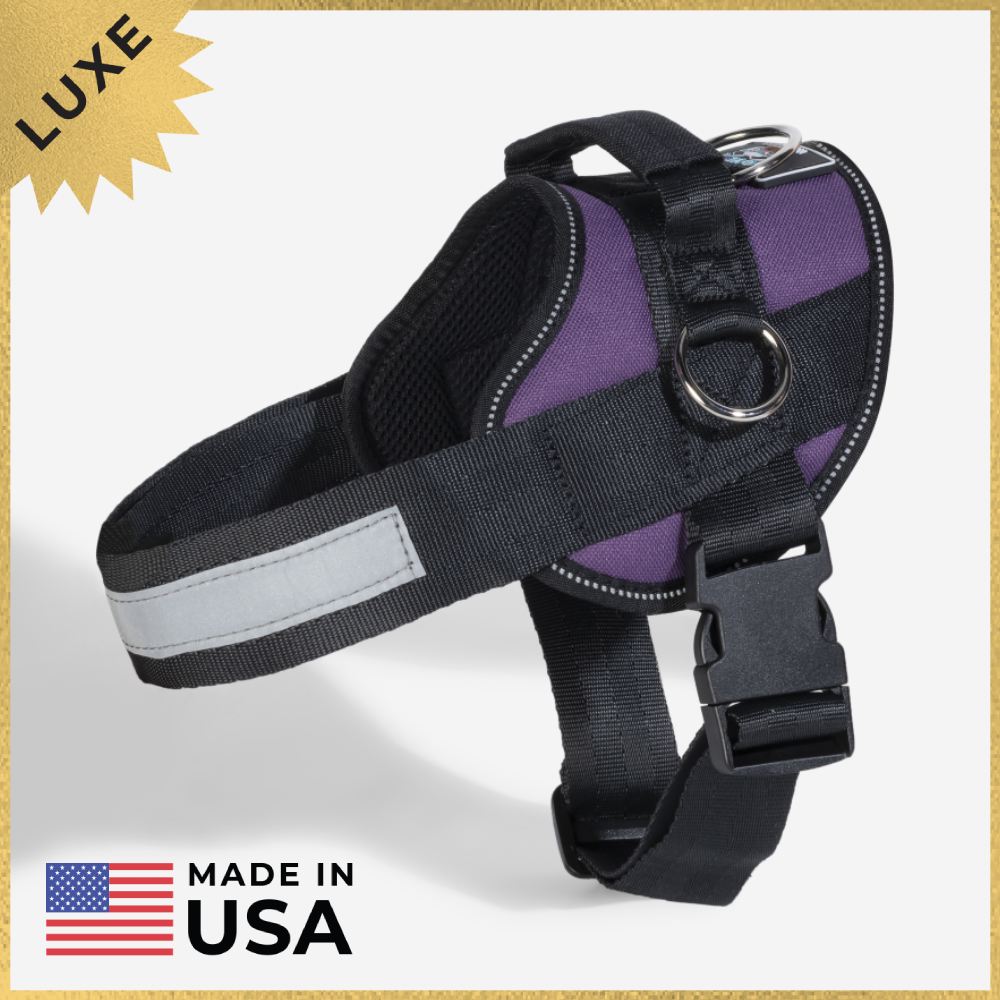 Joyride LUXE Dog Harness 1.0