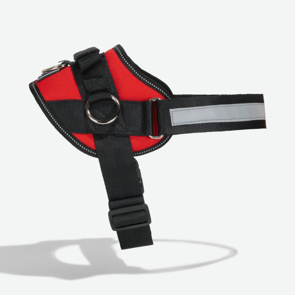 Joyride LUXE Dog Harness 1.0