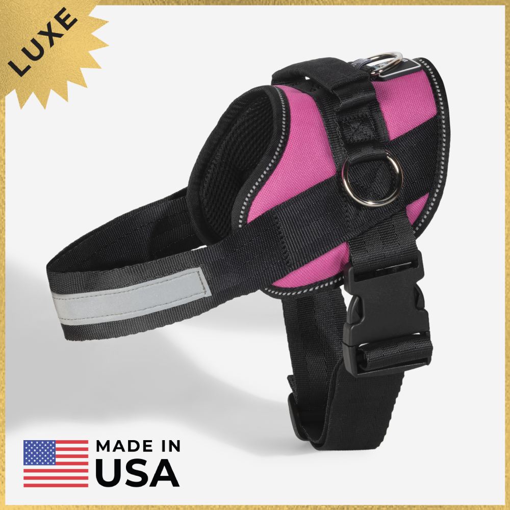 Joyride LUXE Dog Harness 1.0