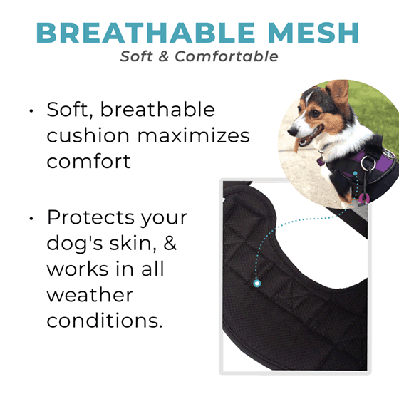 Winter Snowman Dog Harness Clearance