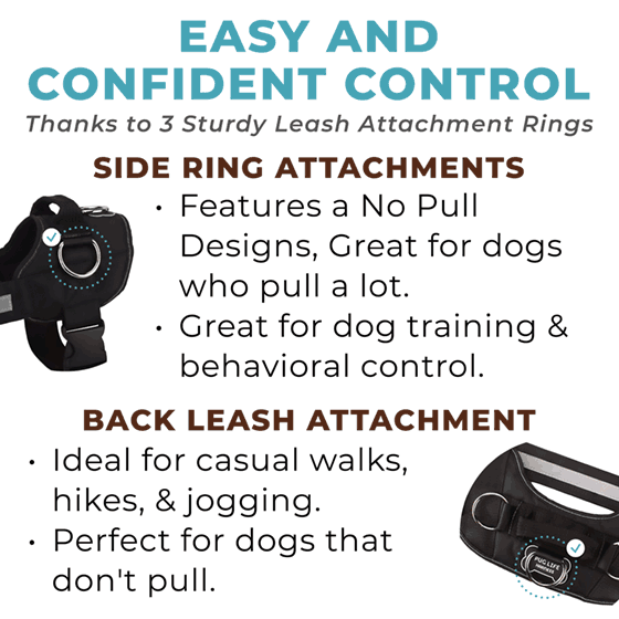 Winter Snowman Joyride Basic Essential Dog Harness 1.0
