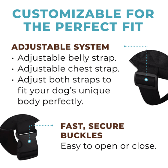 Winter Snowman Joyride Basic Essential Dog Harness 1.0
