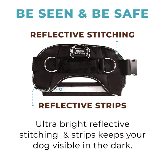 Winter Snowman Joyride Basic Essential Dog Harness 1.0