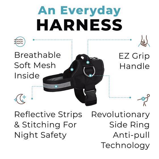 Joyride Basic Essential Dog Harness 1.0 (Solid Colors)