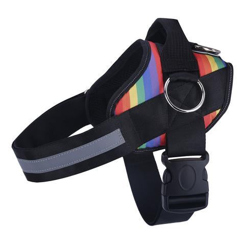 Limited Edition Joyride Harness | Save 15%