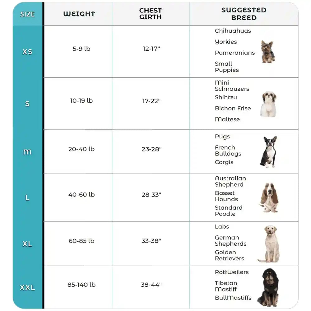 Matching Limited Edition Joyride Harness | 15% Off