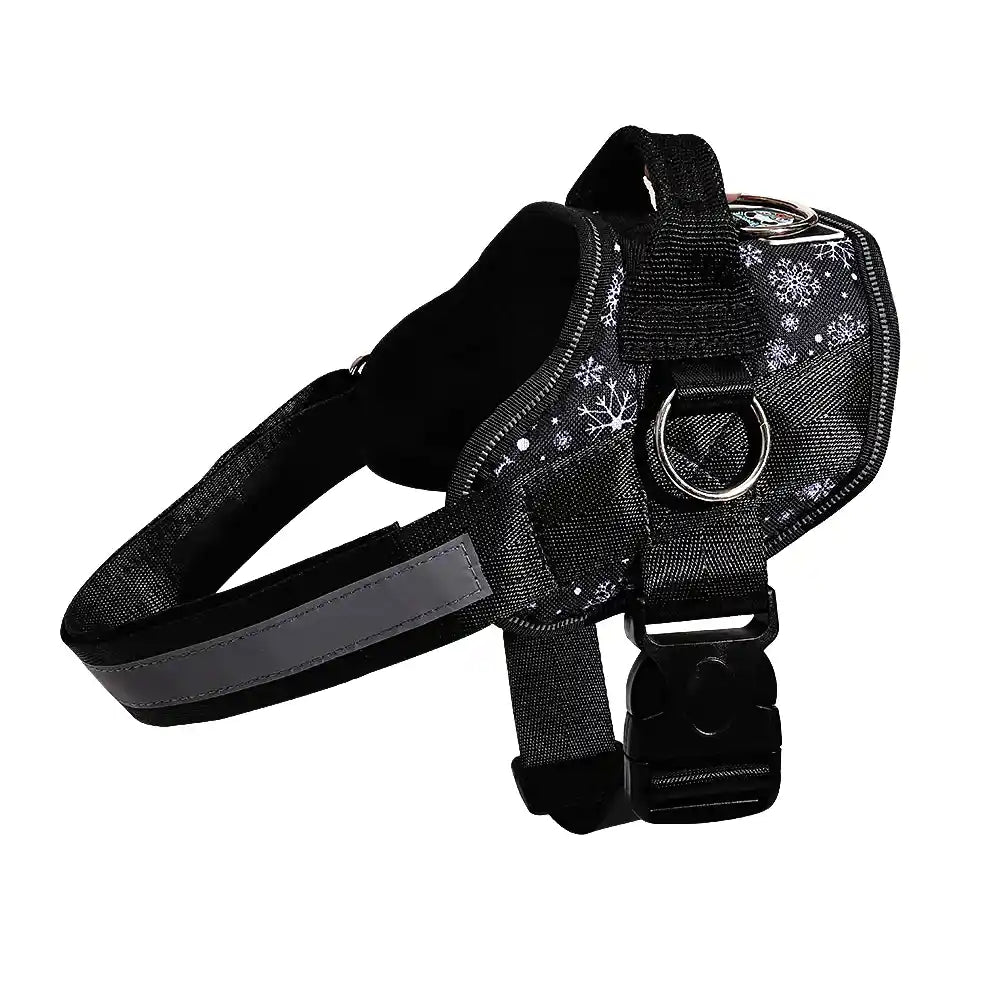 Matching Limited Edition Joyride Harness | 15% Off