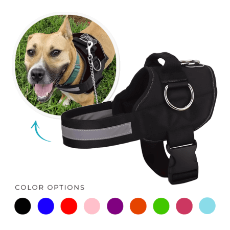 Joyride Basic Essential Dog Harness 1.0 (Solid Colors)