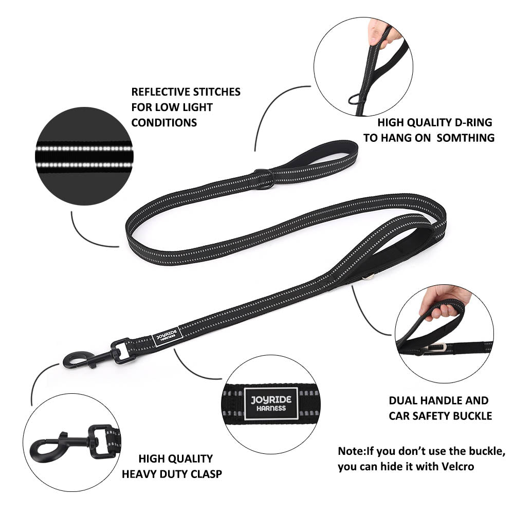 Black Dog Leash with Seat Belt Buckle