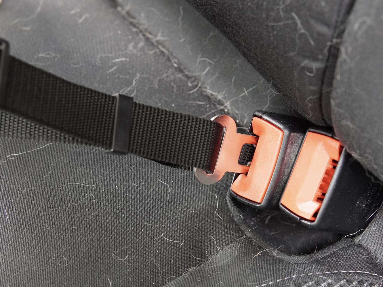 Safety Seatbelt for Dogs Addon