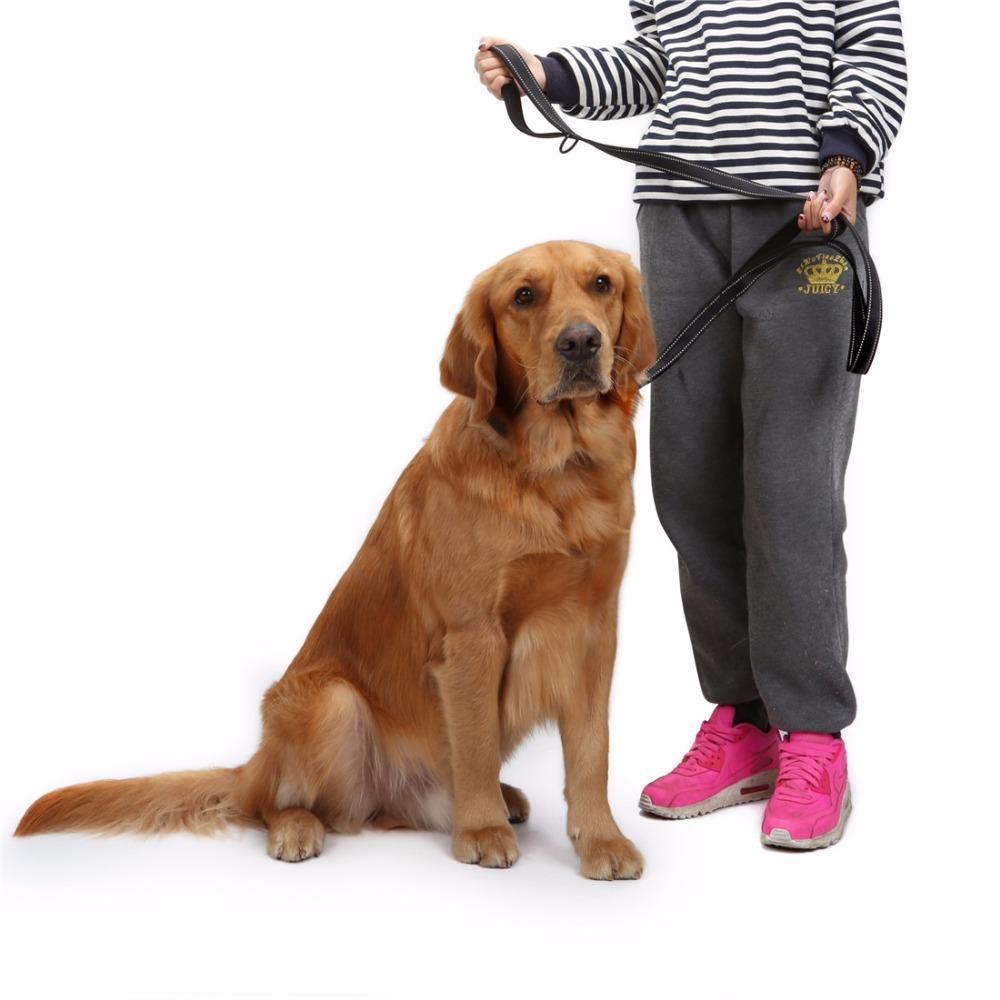 Double Handle Heavy Duty Dog Leash