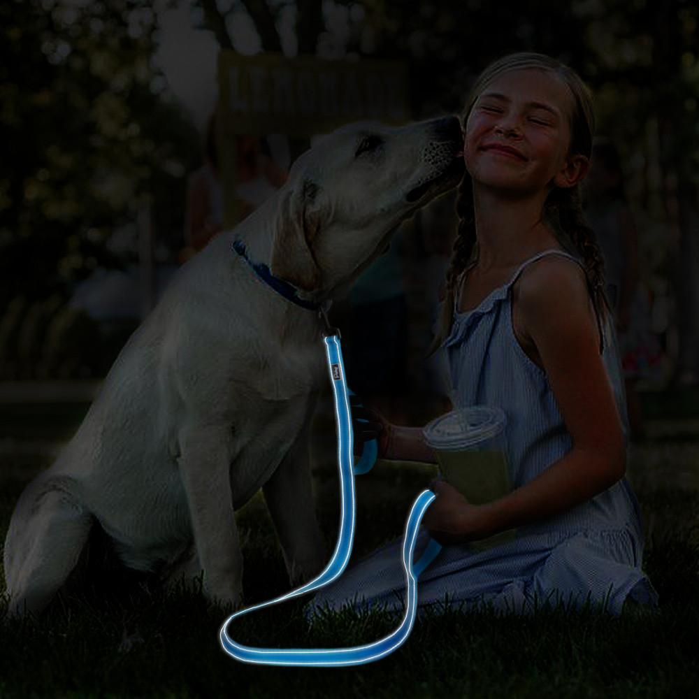 Double Handle Heavy Duty Dog Leash