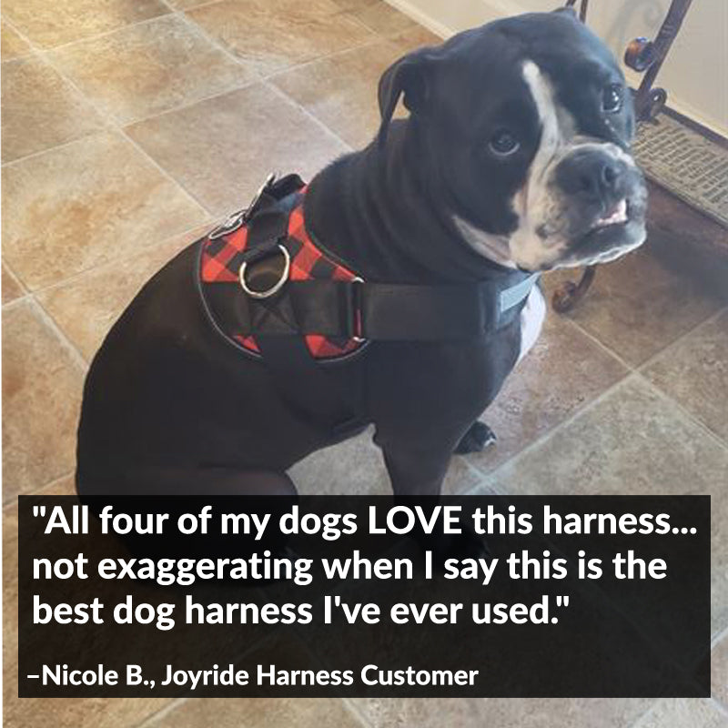 Red Plaid Joyride Basic Essential Dog Harness 1.0