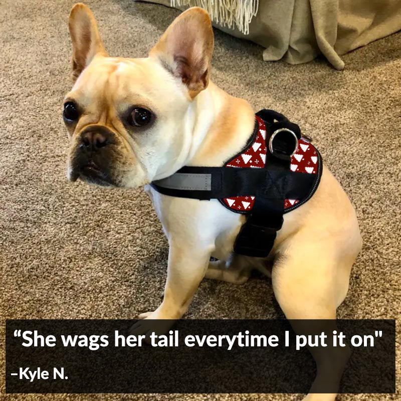 Holiday Sweater Dog Harness Clearance