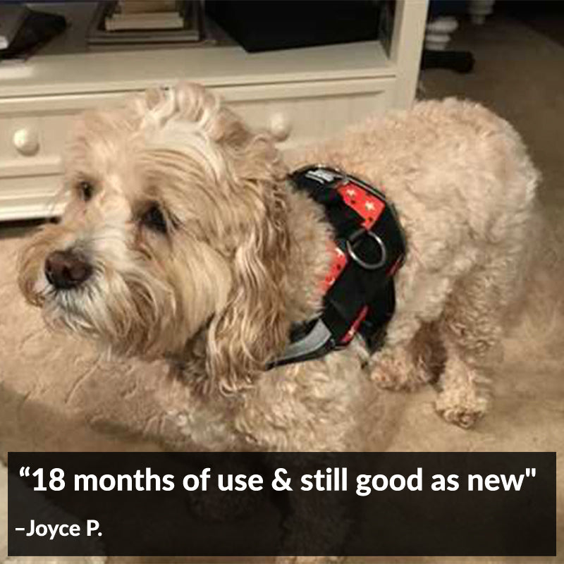 Patriotic Red Dog Harness Clearance