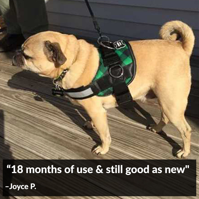 Green Plaid Joyride Basic Essential Dog Harness 1.0