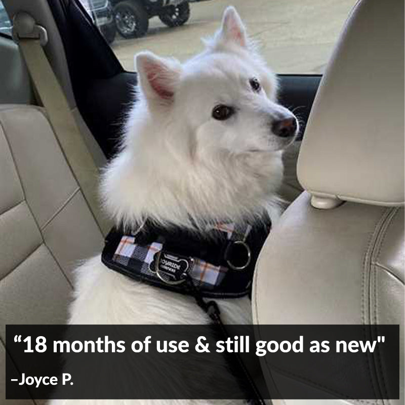 White Plaid Joyride Basic Essential Dog Harness 1.0