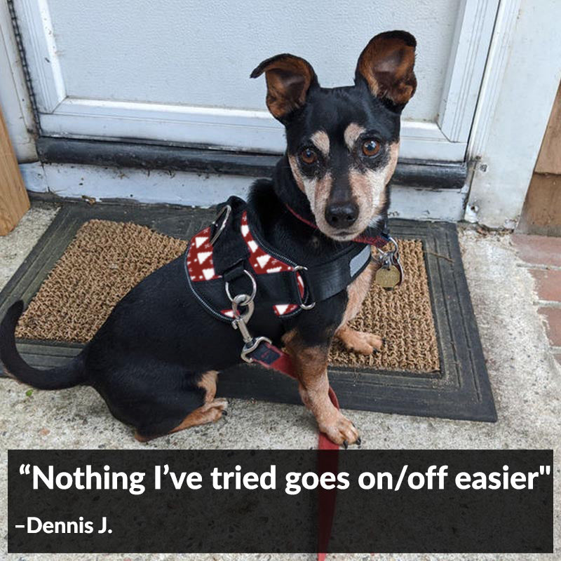 Holiday Sweater Dog Harness Clearance