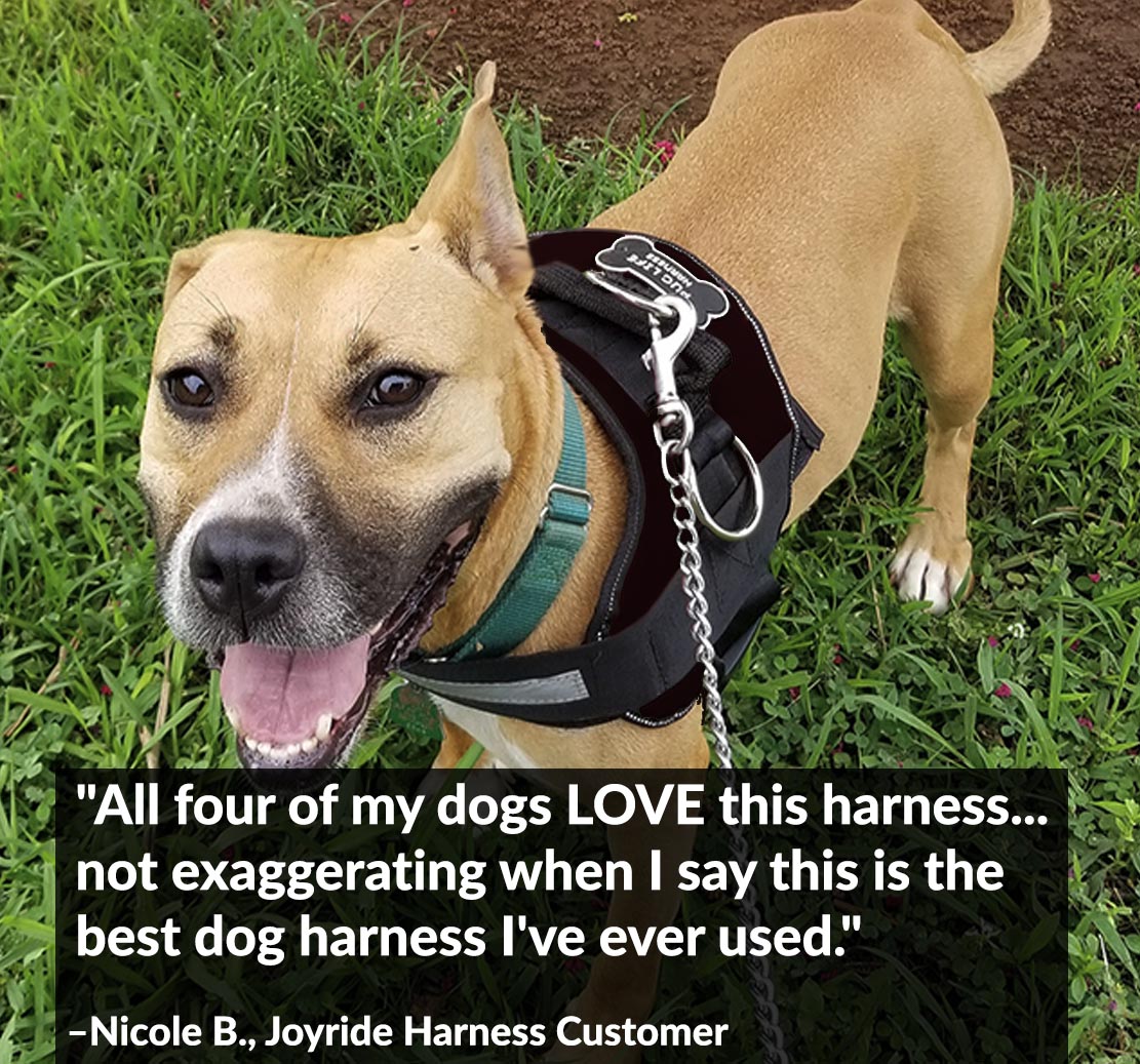 Joyride Harness | 15% Off
