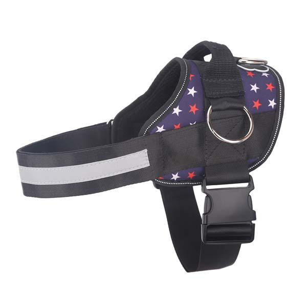 Limited Edition Joyride Harness | Save 15%