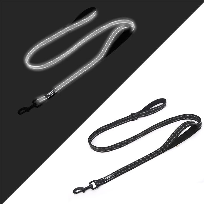 Black Dog Leash with Seat Belt Buckle