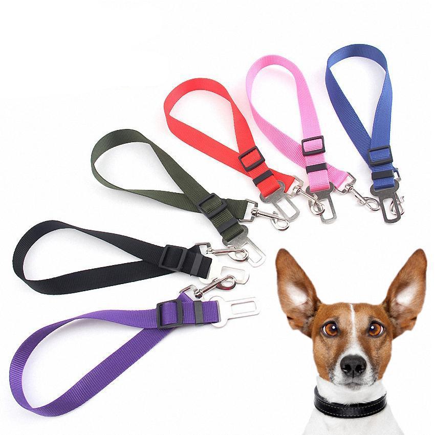 Safety Seat Belt For Dogs - NEW!