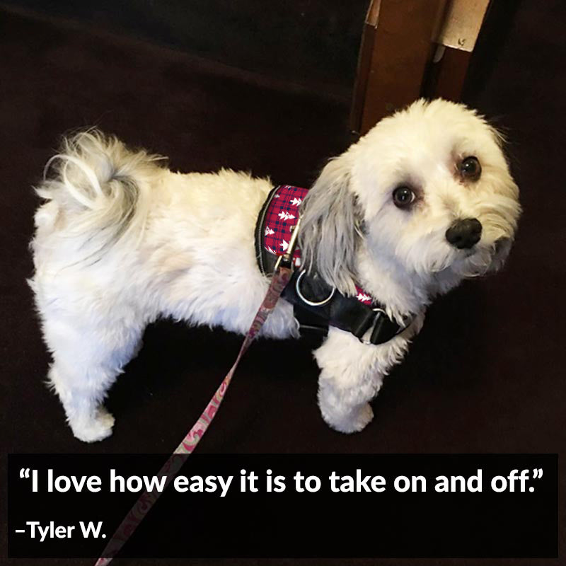 Winter Trees Joyride Basic Essential Dog Harness 1.0
