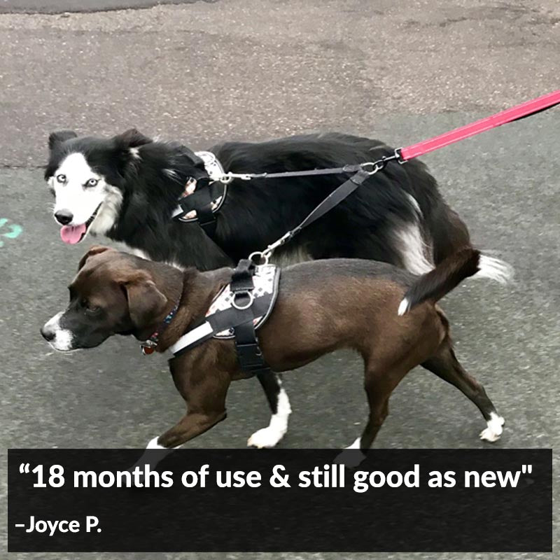 Joyride Harness | 15% Off