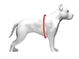 dog-size-guide-img