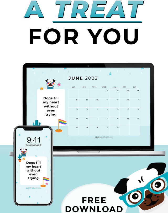 June 2022 Free Desktop & Mobile Wallpaper For Dog Lovers