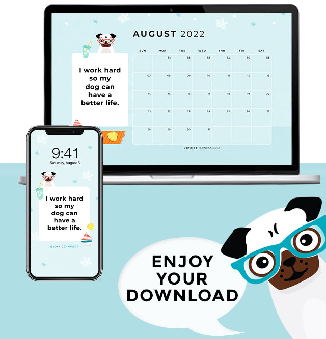 August 2022 Free Desktop & Mobile Wallpaper For Dog Lovers