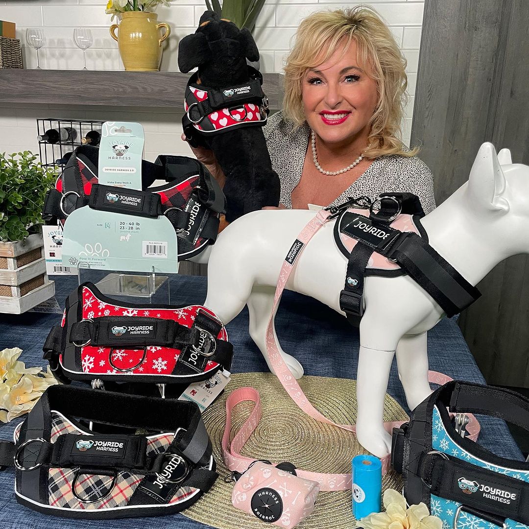 Joyride Harness Live on TV!  Dawn's Corner 'Arizon Midday'