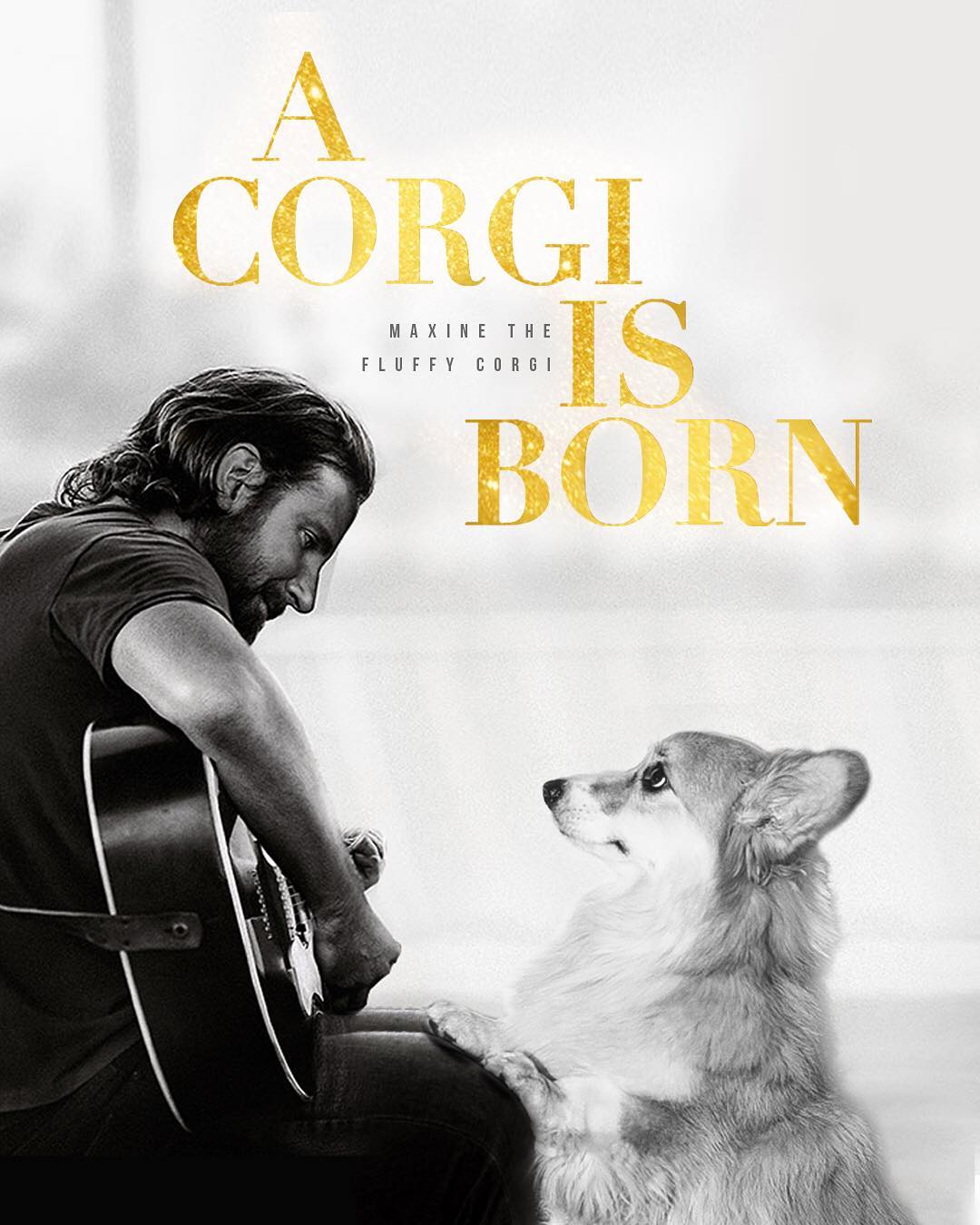 Dog Gets The Star Treatment By Being Photoshopped Into Movie Posters