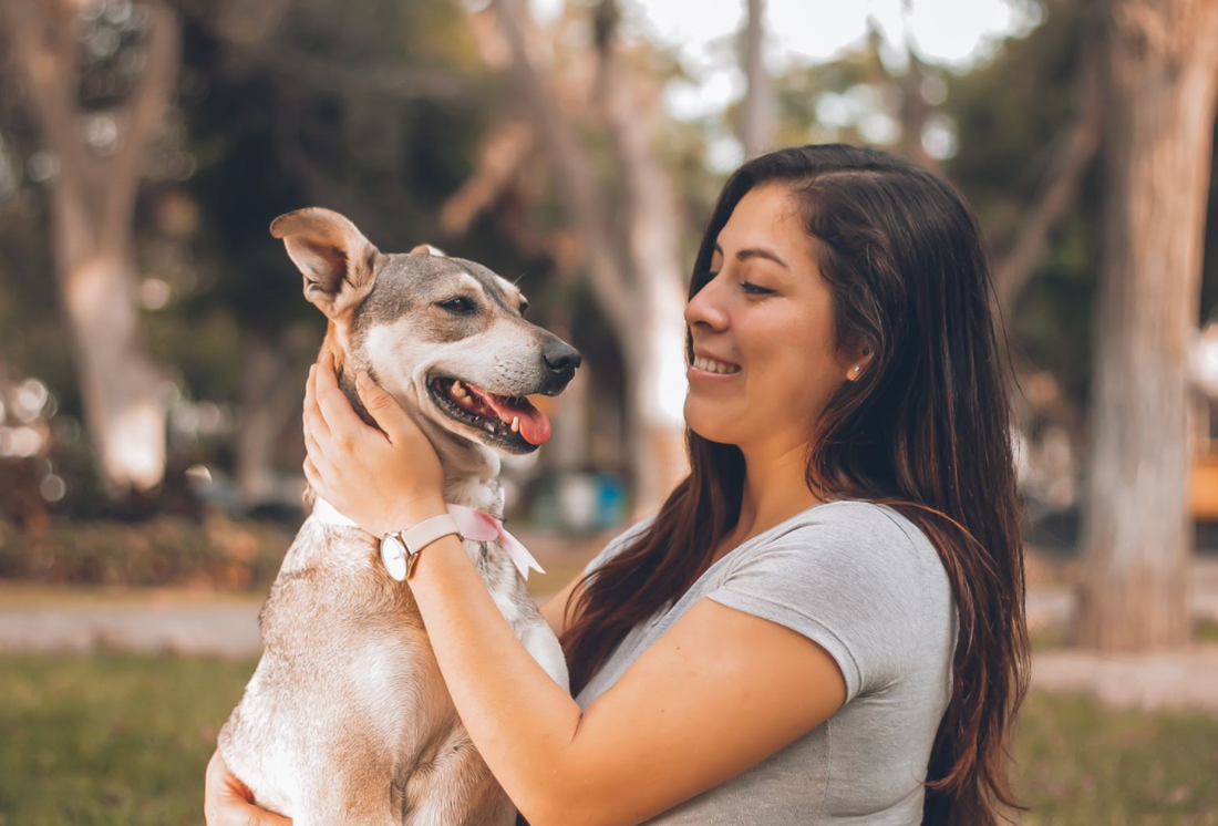 5 Things I Wish I Knew Before Becoming a Dog Owner