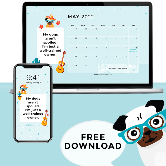 May 2022 Free Desktop & Mobile Wallpaper For Dog Lovers