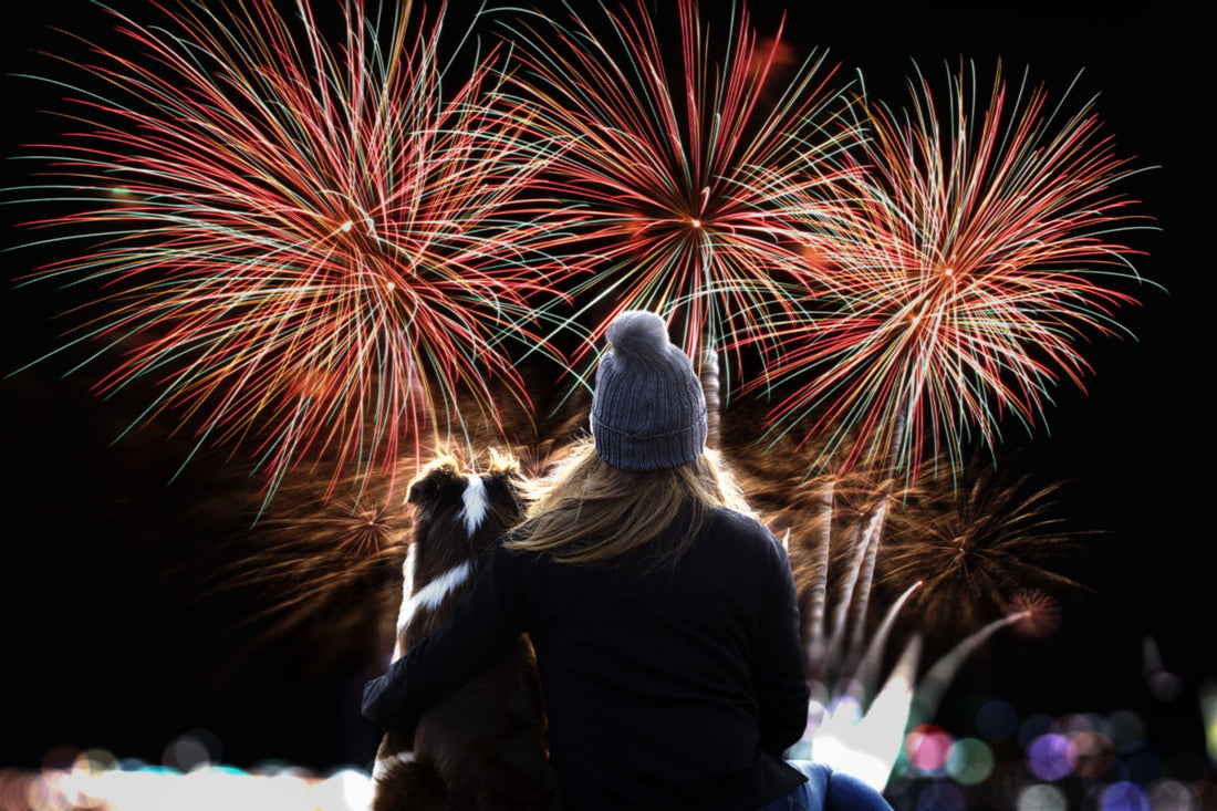 How To Care For Your Scared Dog During July 4th Fireworks