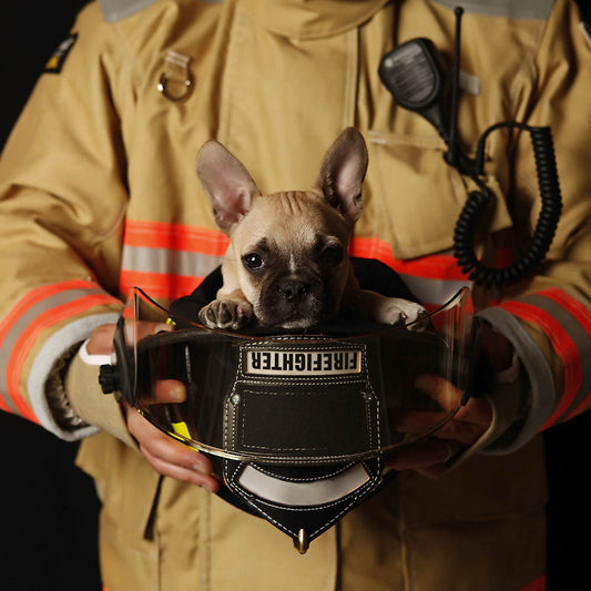 How To Keep Your Dogs Safe with Pet Fire Safety Preparations