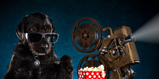 K9 Cinemas Welcomes Dogs & Wine-loving Movie Goers