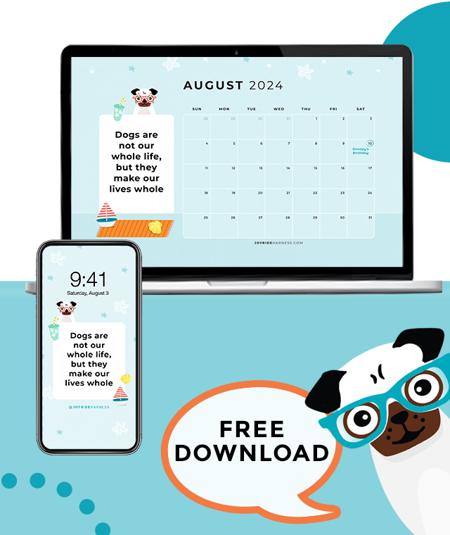 Keep Your Dogs Cool In The August Heat (August 2024 Free Desktop & Mobile Wallpaper )